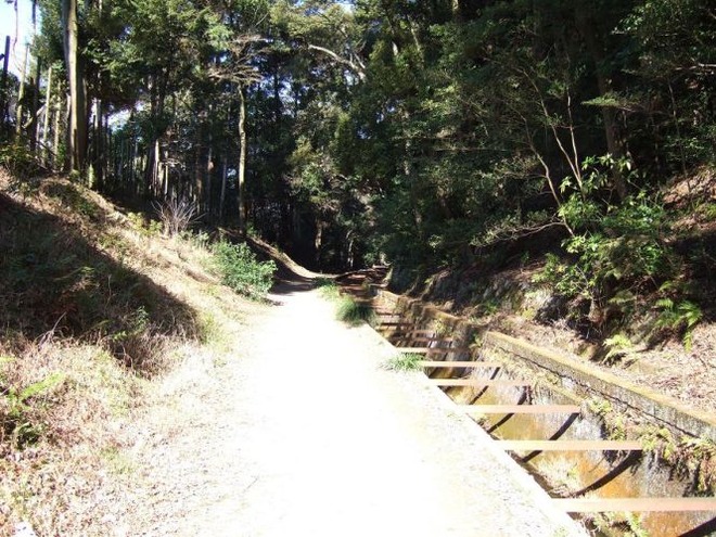 01疏水分線（１）mid