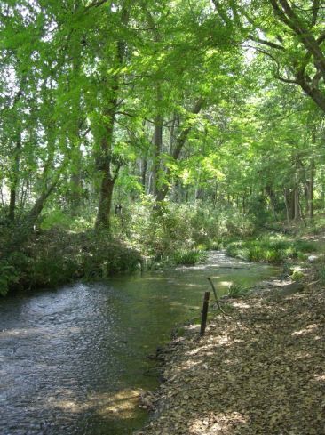 クリックで大きくなります