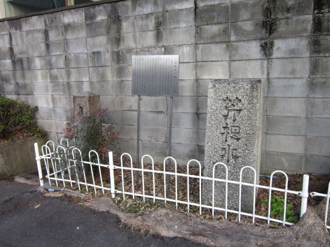 01芹根水（１）mid