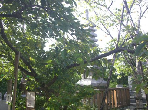  クリックで大きくなります