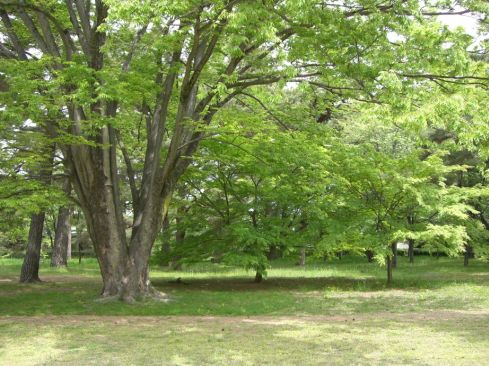  クリックで大きくなります