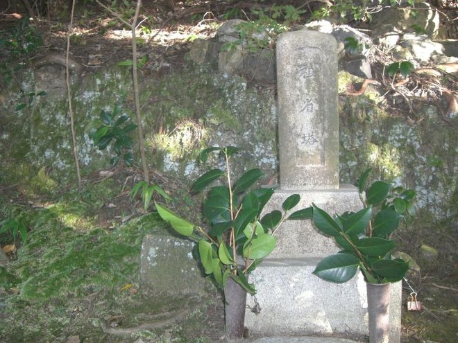 06村山たか女mid