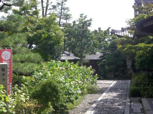  クリックで大きくなります