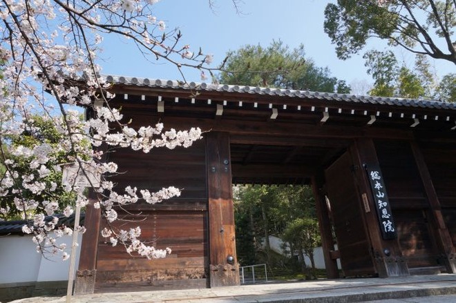 01知恩院(1)mid