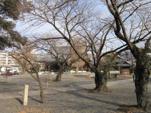  クリックで大きくなります