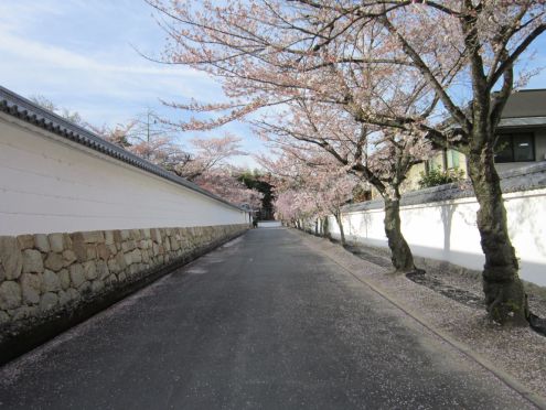  クリックで大きくなります