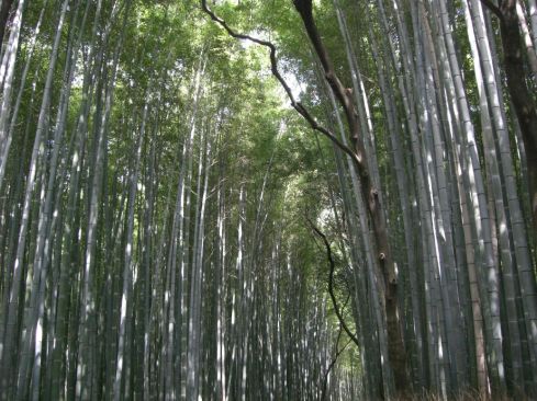  クリックで大きくなります