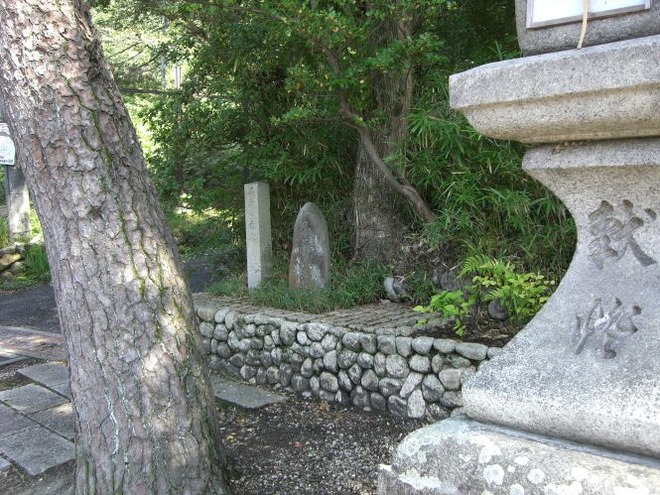 03早蕨（２）mid