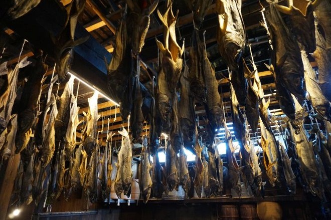 06きっかわ（２）mid