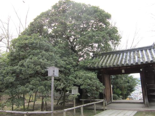  クリックで大きくなります