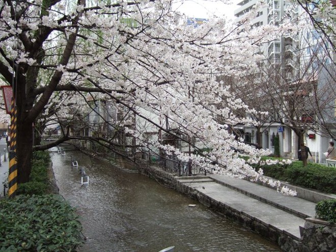 02新橋（１）mid