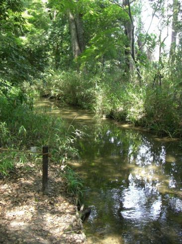 クリックで大きくなります