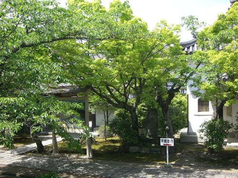 クリックで大きくなります