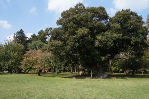 02鷹司（２）min