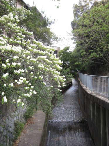 クリックで大きくなります