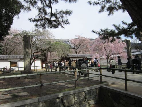  クリックで大きくなります