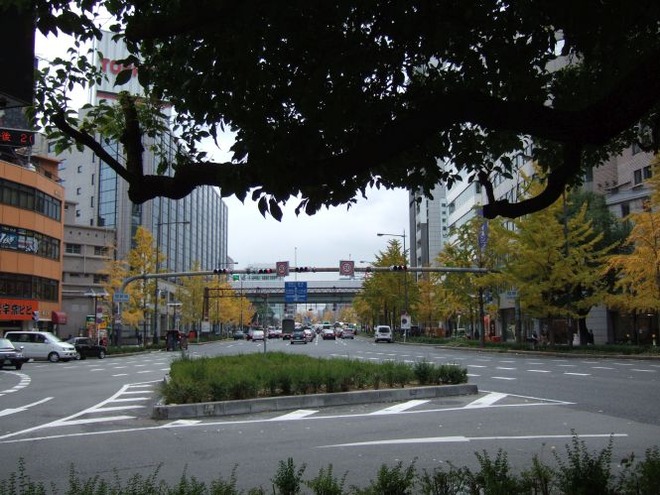 02御堂筋（２）mid