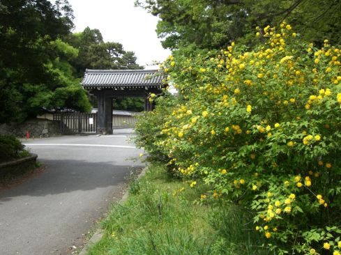  クリックで大きくなります