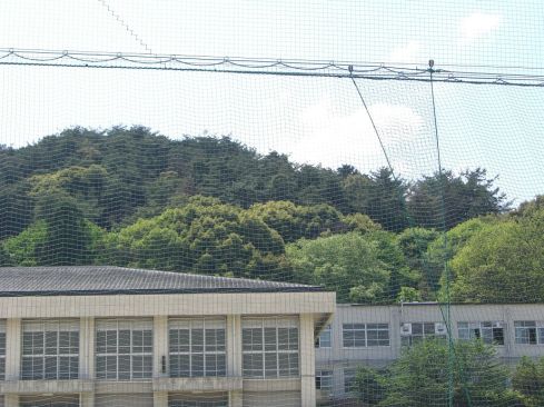  クリックで大きくなります