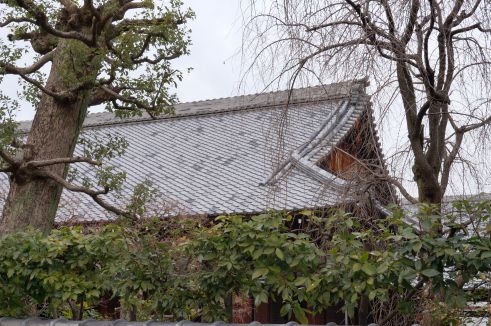  クリックで大きくなります