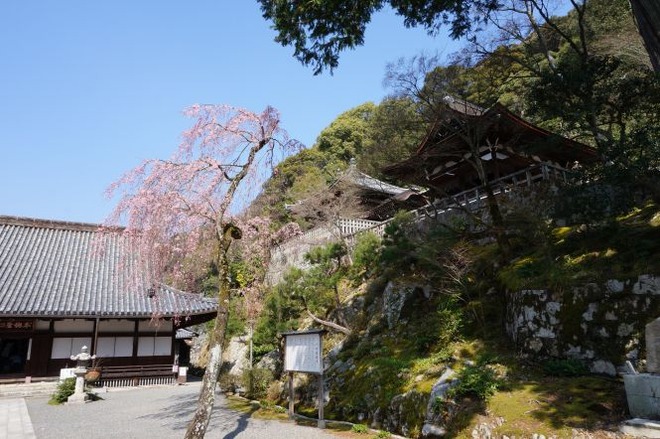 02廟堂mid