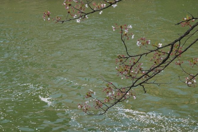 01琵琶湖疏水mid