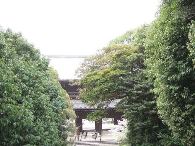 04桜（２）mid