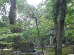 イメージ 6