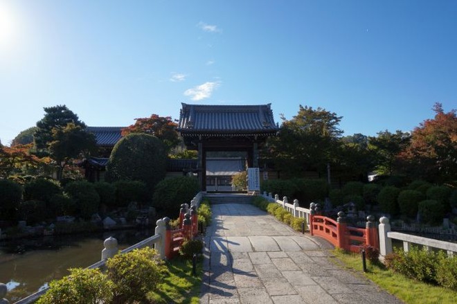 01妙満寺（１）mid