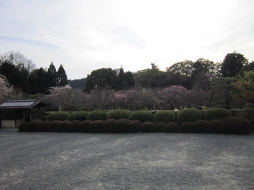  クリックで大きくなります