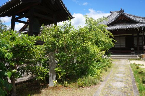  クリックで大きくなります