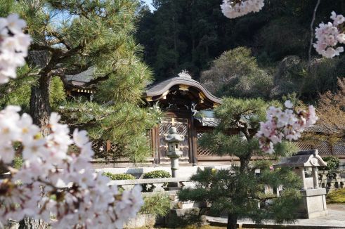  クリックで大きくなります