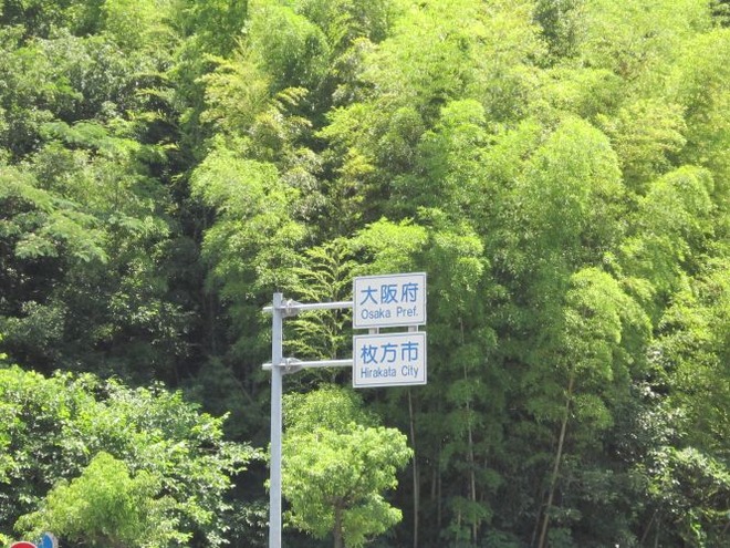 01洞ヶ峠（１）mid