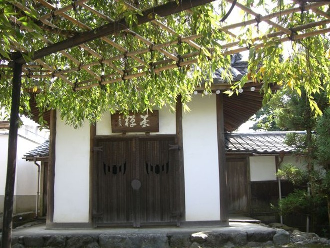 03煎茶mid