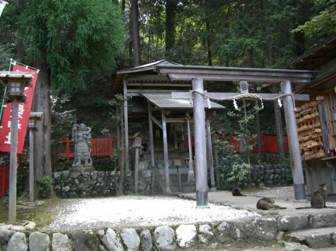 クリックで大きくなります