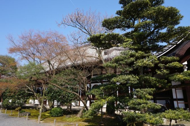 05三方正面の猫mid