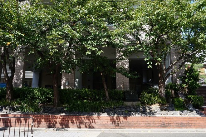 01洛央小（１）mid