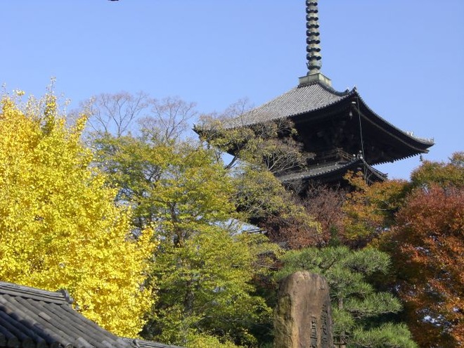 01東寺mid