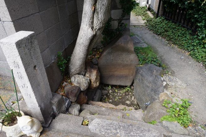 01常盤井mid