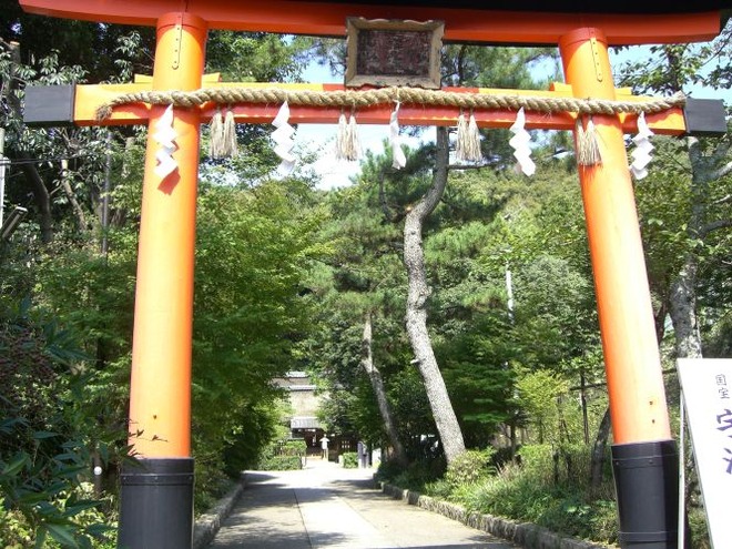 01鳥居mid