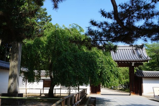 01醍醐寺mid