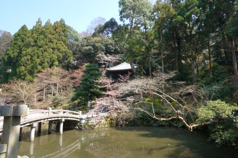  クリックで大きくなります