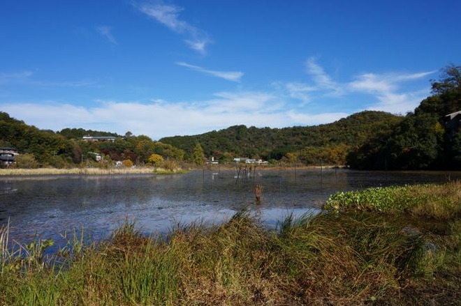 03深泥池（２）mid