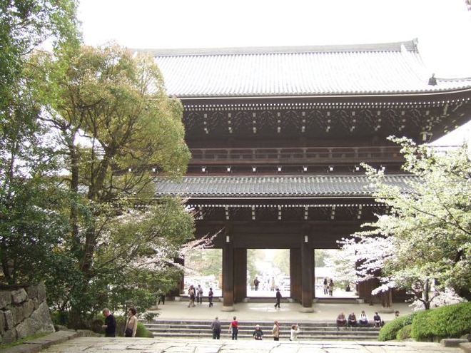 03桜（１）mid