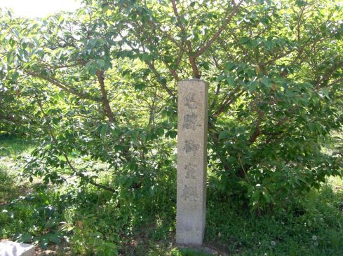  クリックで大きくなります