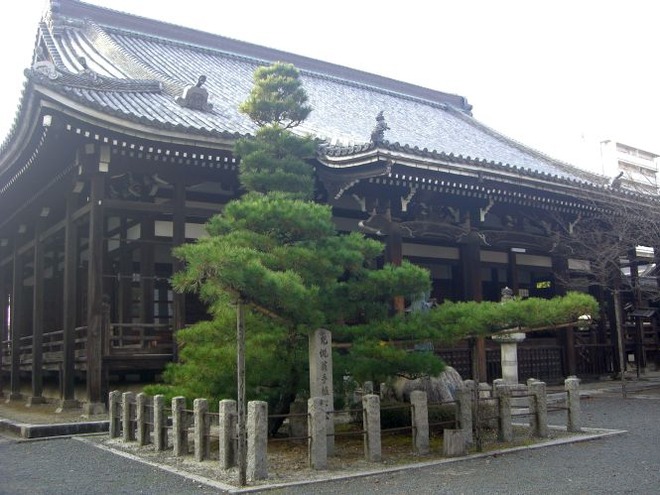 03手植えの松mid