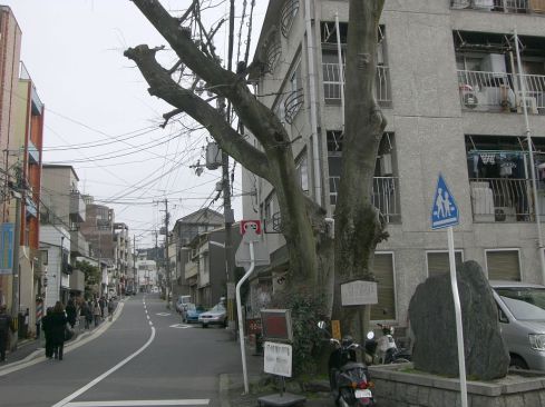  クリックで大きくなります