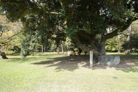 03鷹司（３）min