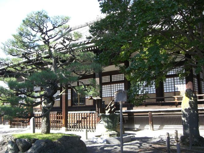 04千代ノ井mid