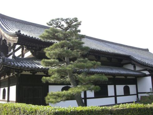 クリックで大きくなります